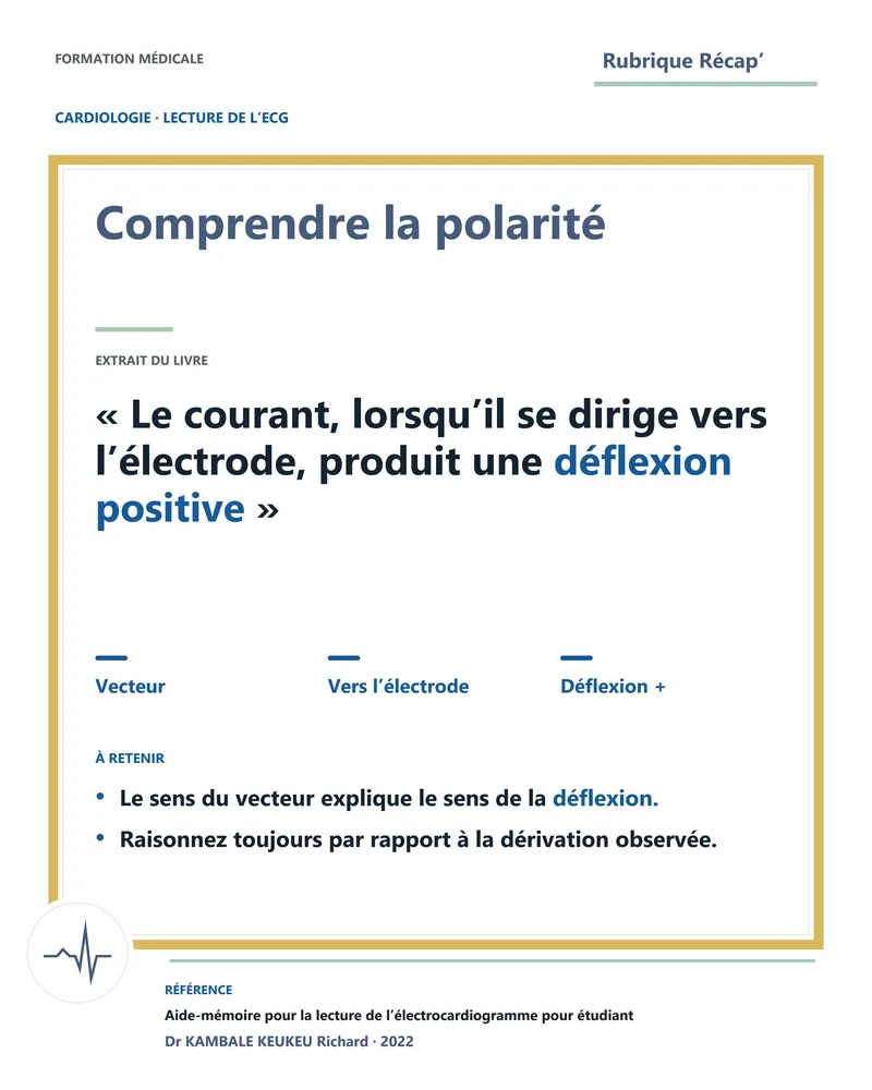 Comprendre la polarité