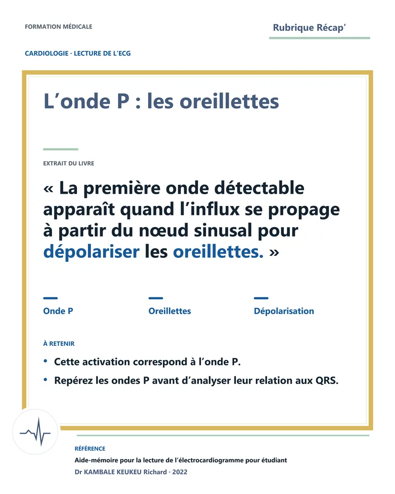 L’onde P : les oreillettes