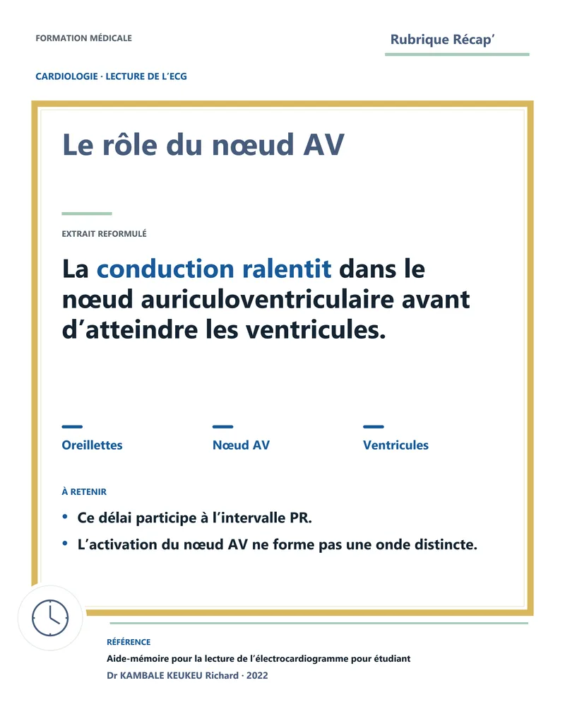 Le rôle du nœud AV