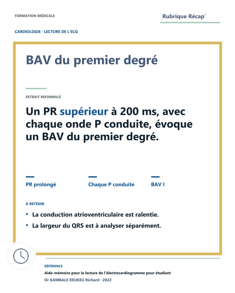 BAV du premier degré