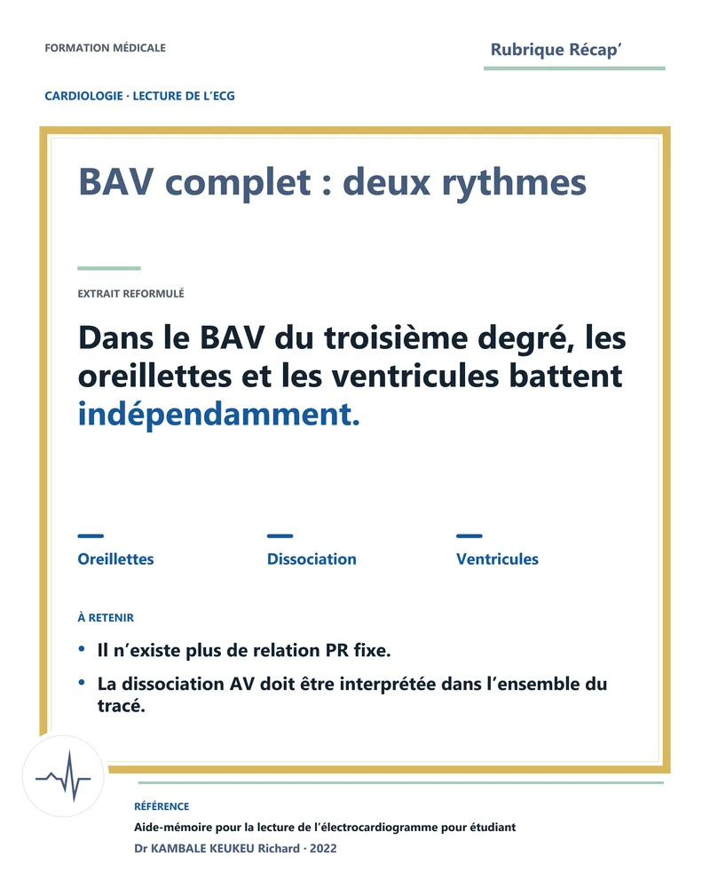 BAV complet : deux rythmes