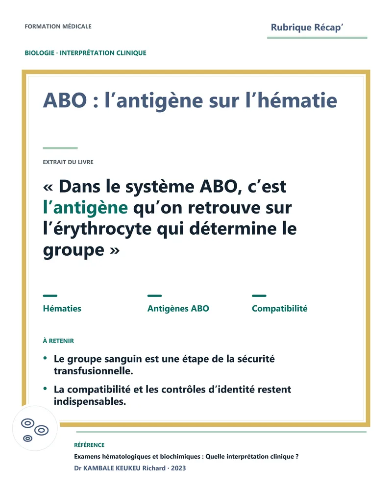 ABO : l’antigène sur l’hématie