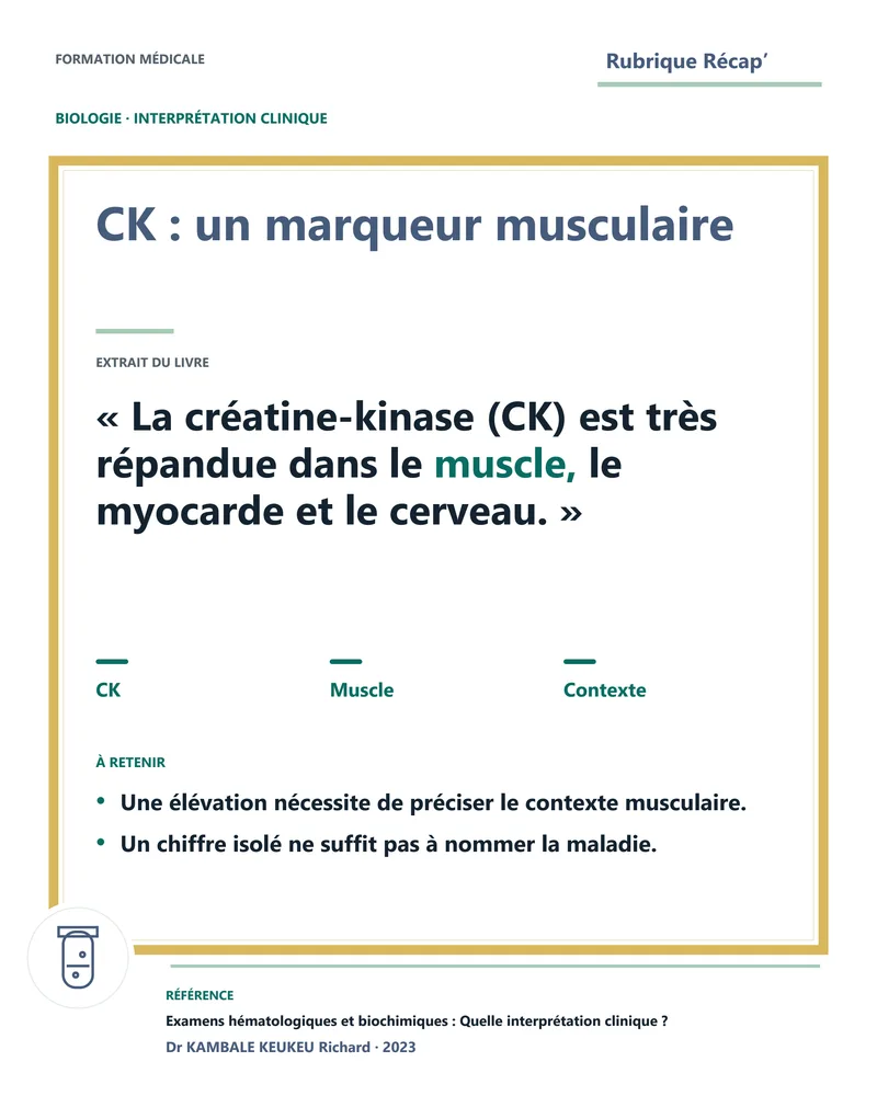 CK : un marqueur musculaire