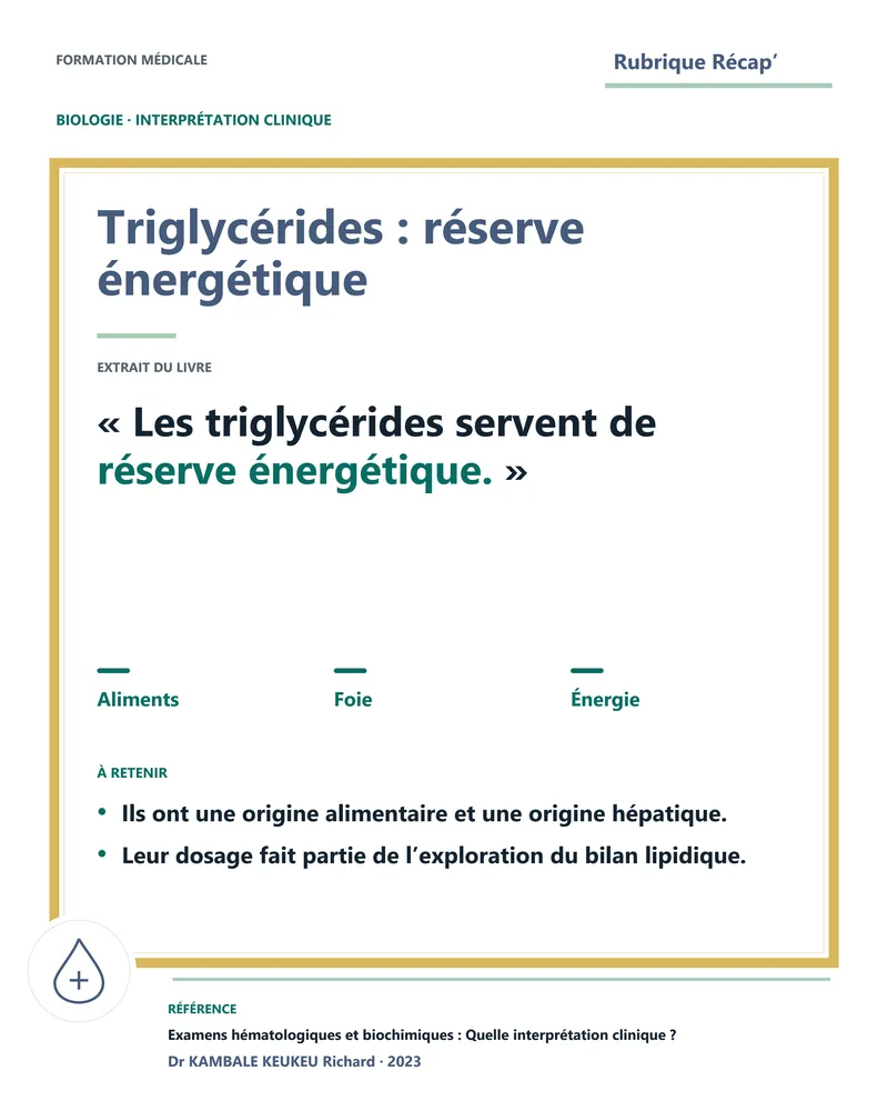 Triglycérides : réserve énergétique